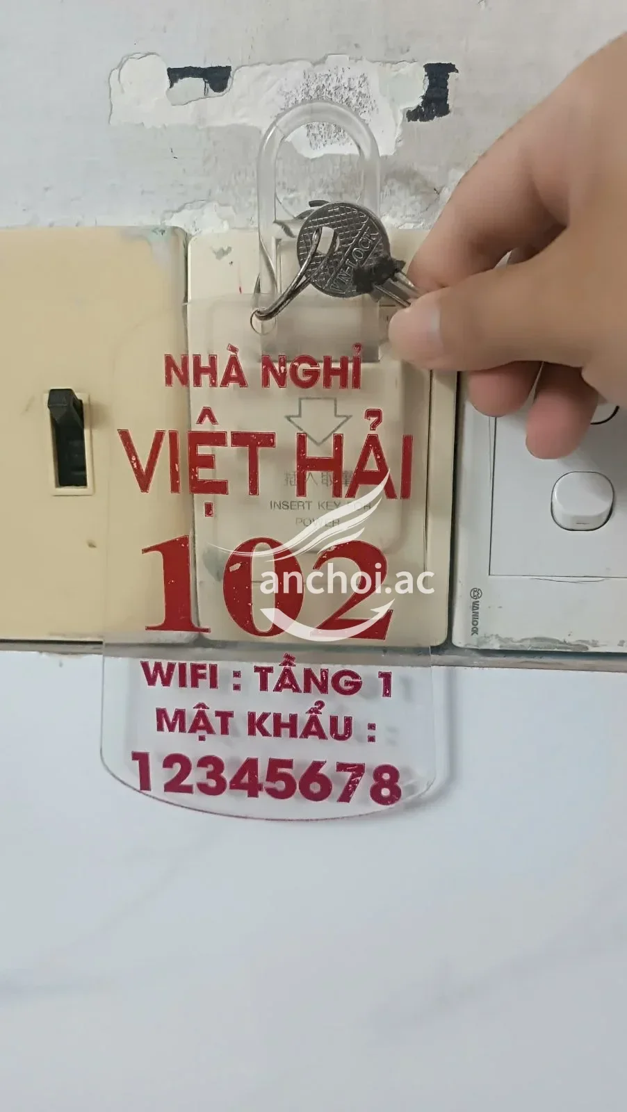 ảnh report