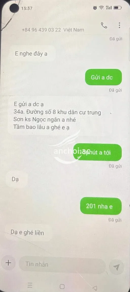 ảnh report