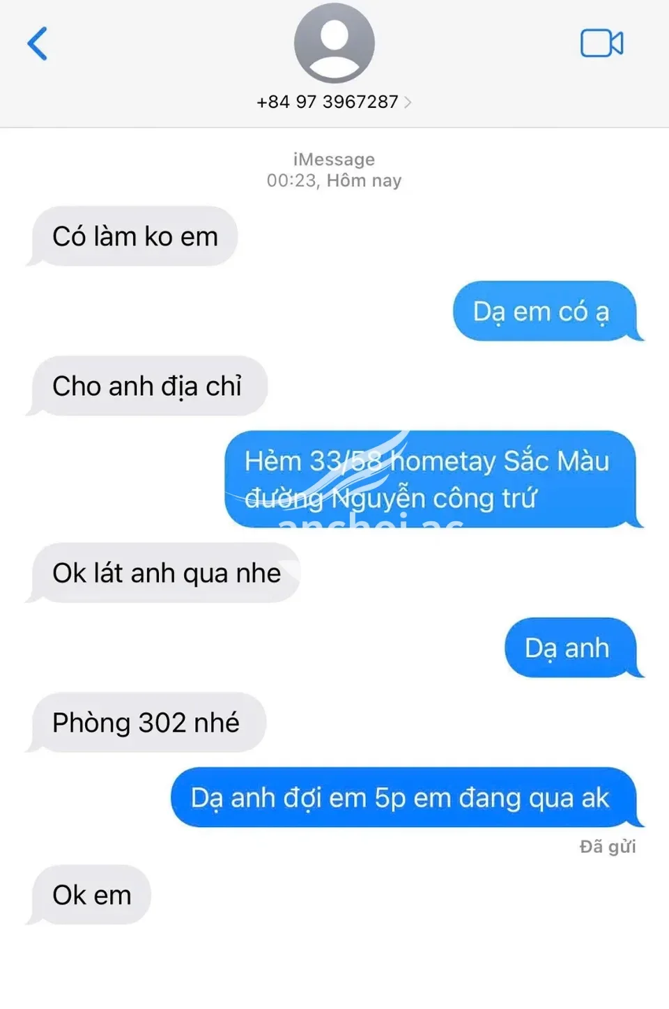 ảnh report