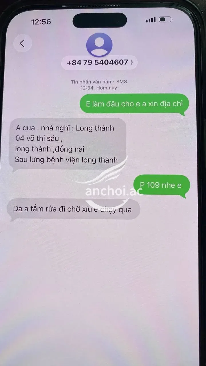 ảnh report