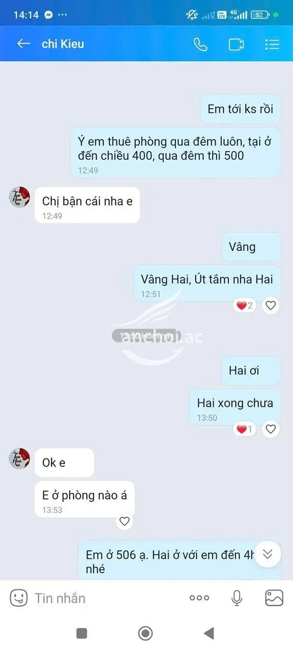 ảnh report