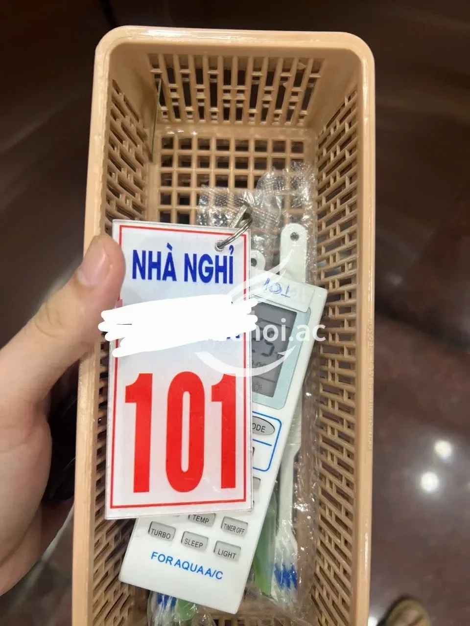 ảnh report