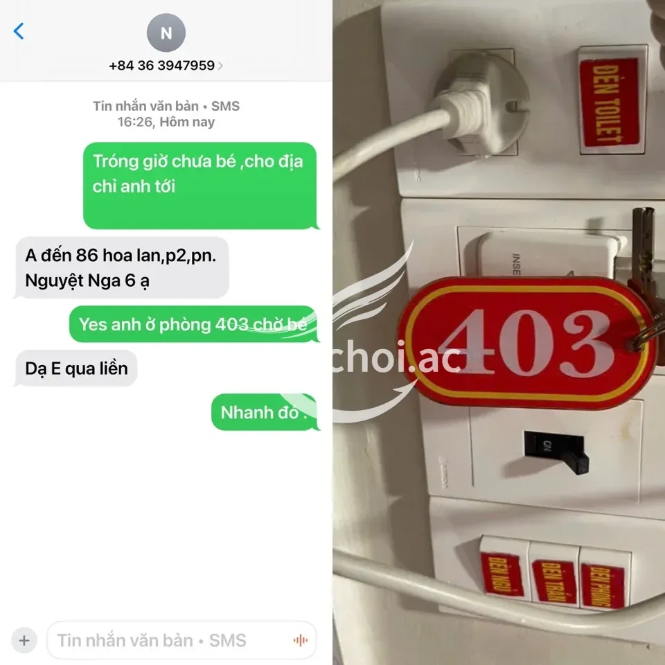 ảnh report